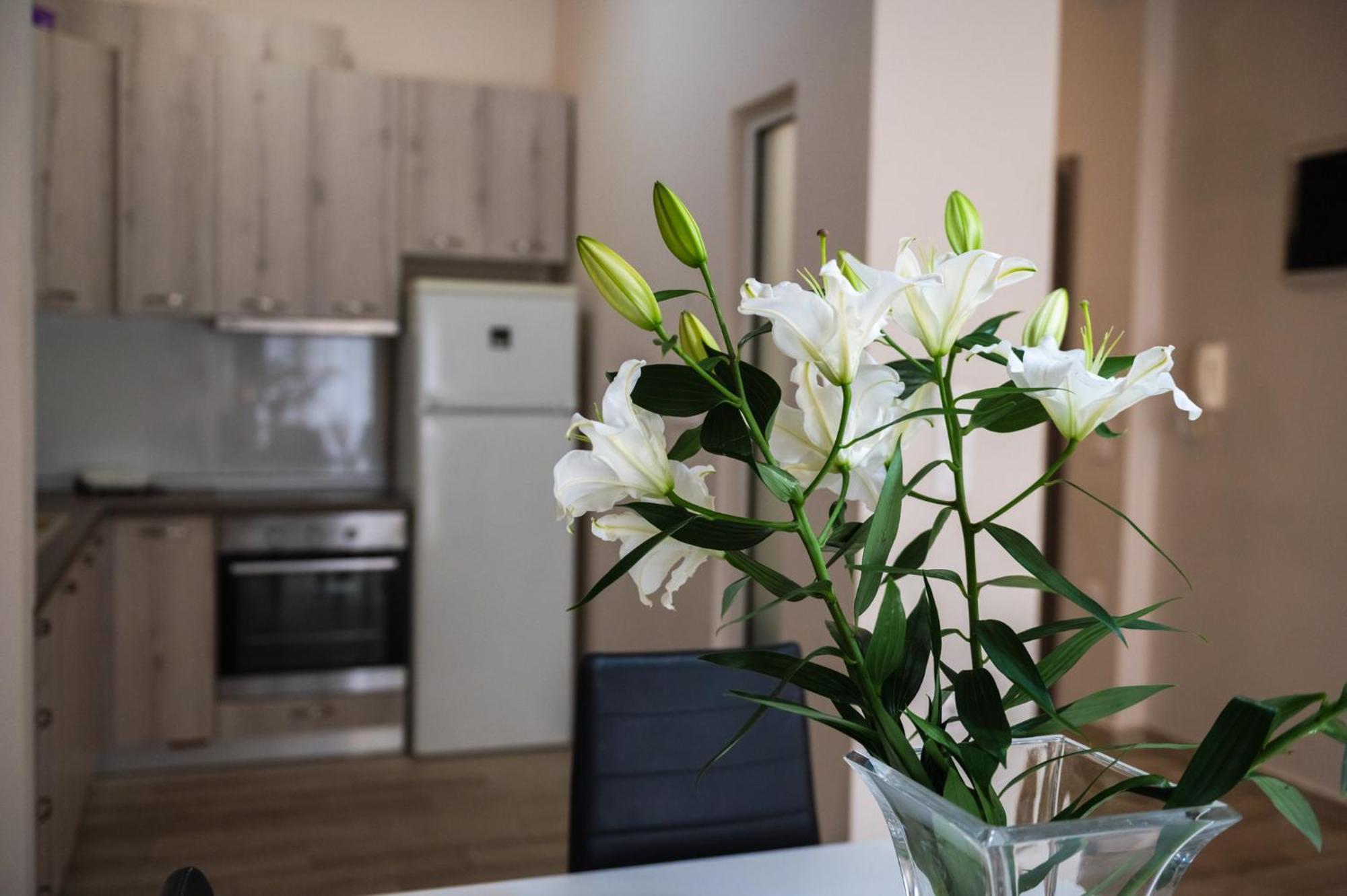 Central Luxurious Suite Near Lighthouse Aleksandropolis Zewnętrze zdjęcie